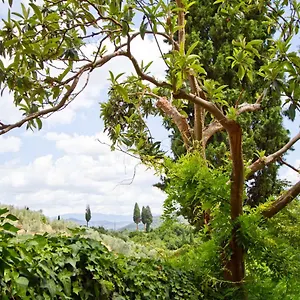 Tuscan Sun Firenze